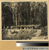 藏品(家屋)的圖片